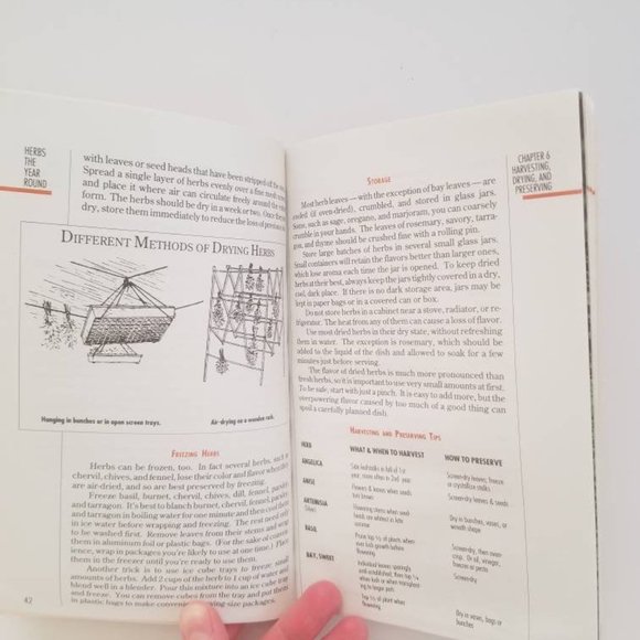 HERBS THE YEAR ROUND 1990s Gardening Guide Vintage Book - Picture 9 of 10